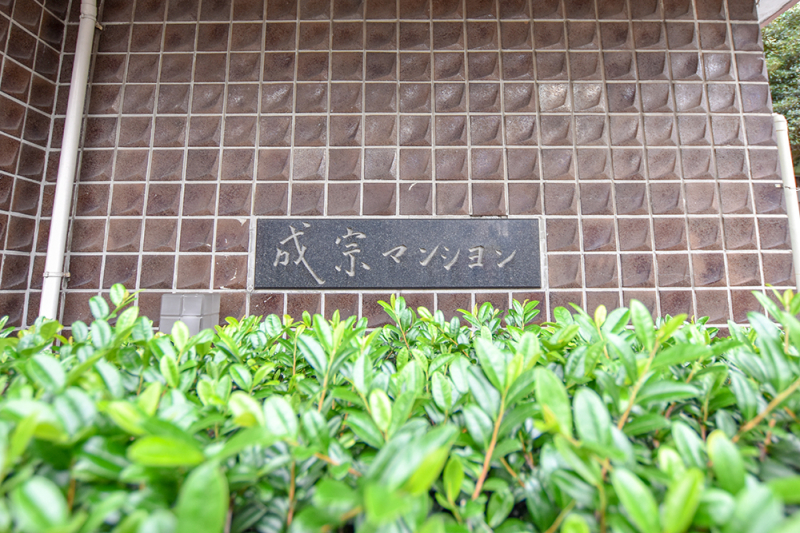 ���̑����n ����