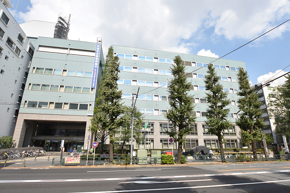 ���ӊ� ���������(160m / 2��)