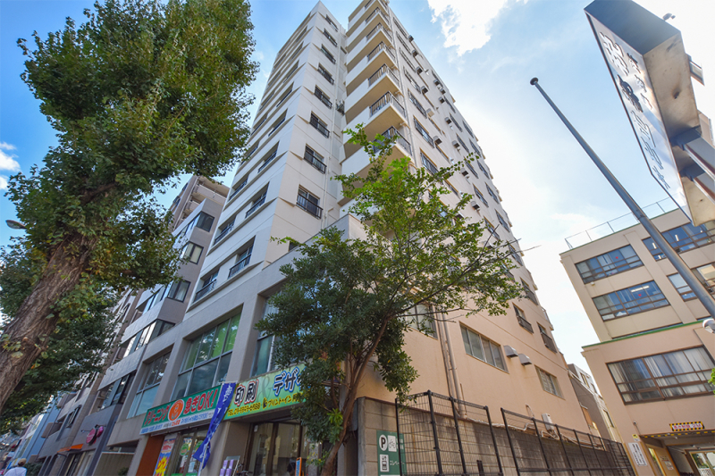 ���n�O�ώʐ^ �ۃm�����u�숢�����J�w�v����k���P��