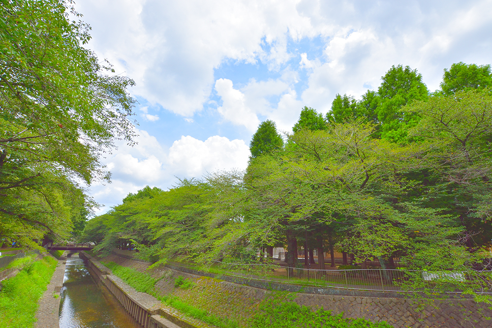 ���ӊ� �P������Βn�@�k���T���i��400���j