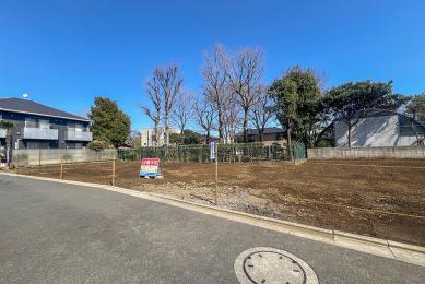 ���n�y�n�ʐ^ 2026�N3���B�e