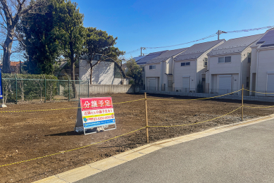 ���n�y�n�ʐ^ 2026�N3���B�e