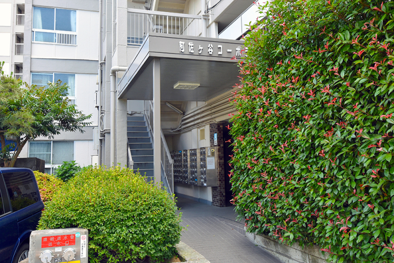 �G���g�����X -